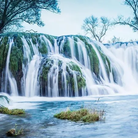 Magnolia * Ljubuški